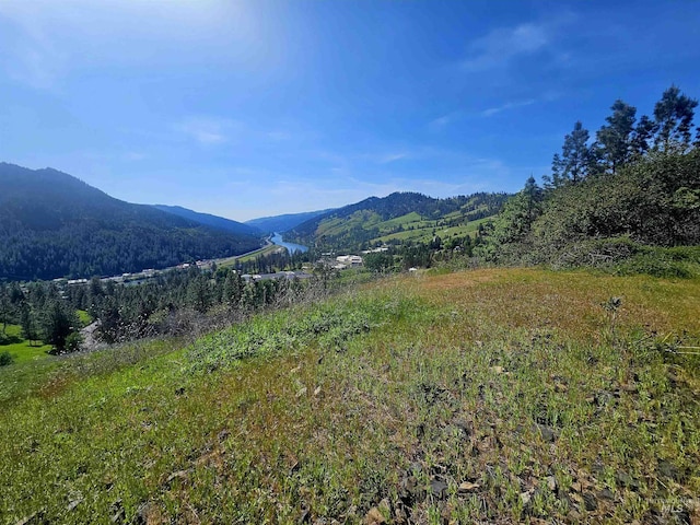 91 Shasta Cir, Orofino, ID 83544