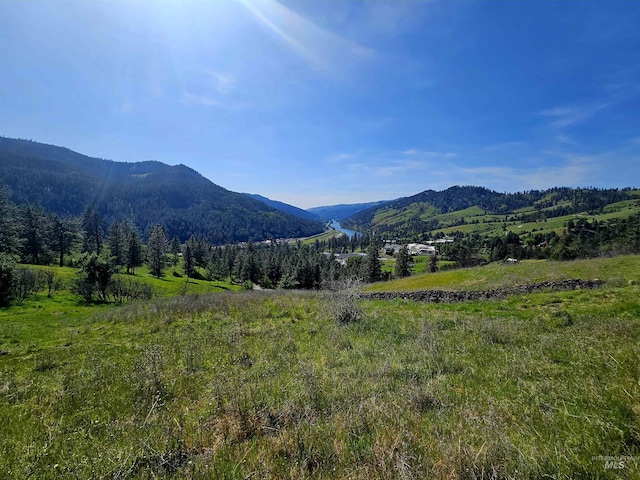 91 Shasta Cir, Orofino, ID 83544