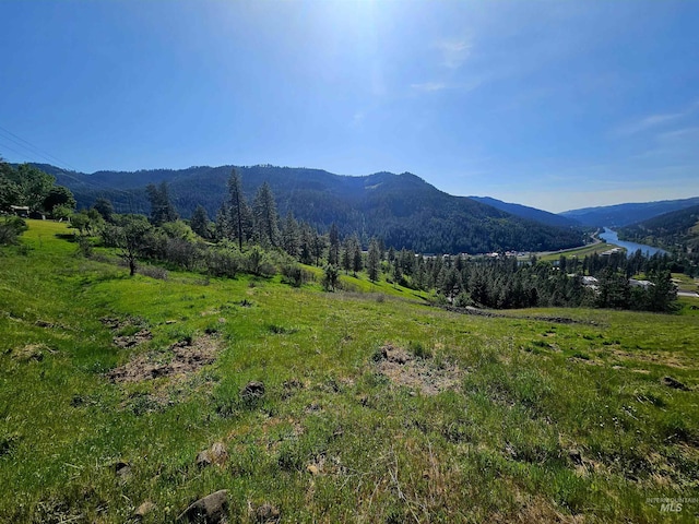 91 Shasta Cir, Orofino, ID 83544