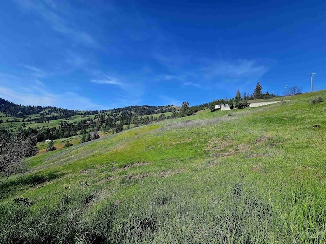 91 Shasta Cir, Orofino, ID 83544