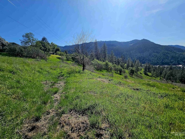 91 Shasta Cir, Orofino, ID 83544