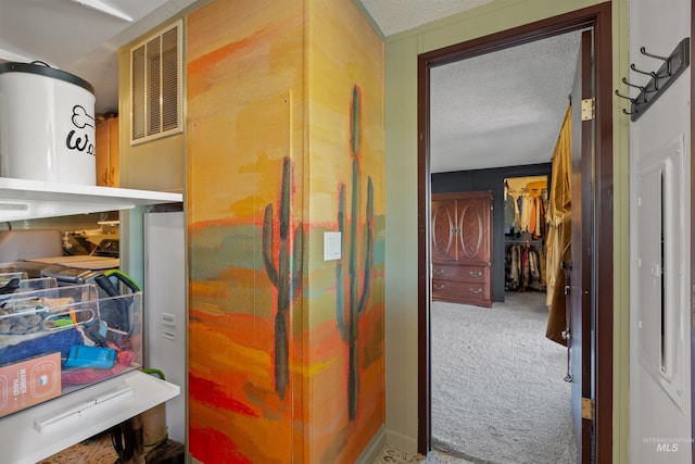 5950 Elmore Rd, New Plymouth, ID 83655 - hallway featuring a textured ceiling and carpet floors