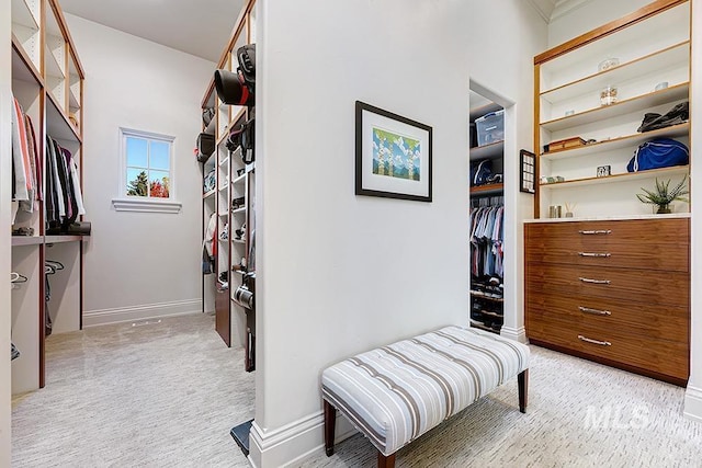 spacious closet featuring light colored carpet
