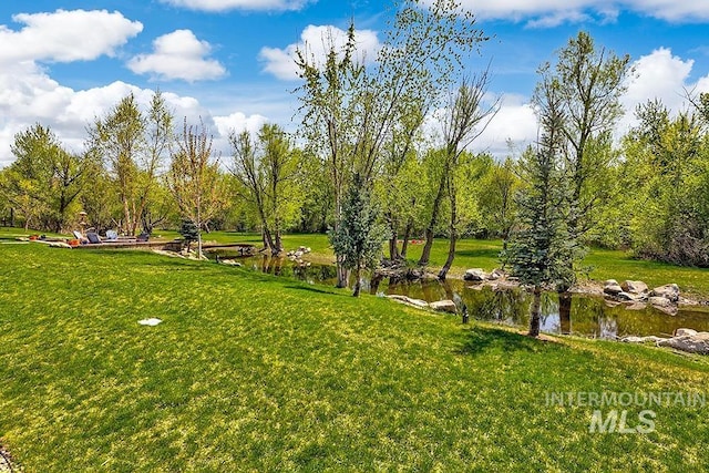 view of community featuring a yard