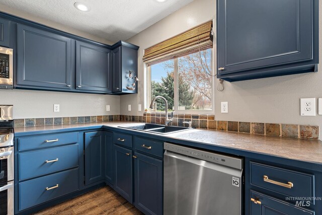 2801 W Lost Rpds, Meridian, ID 83646 - kitchen featuring a sink, appliances with stainless steel finishes, blue cabinets, and dark wood-type flooring