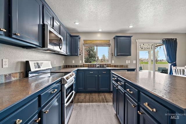 2801 W Lost Rpds, Meridian, ID 83646 - kitchen with a wealth of natural light, blue cabinetry, appliances with stainless steel finishes, wood finished floors, and a sink