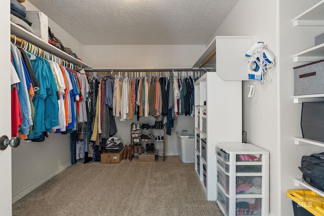 2801 W Lost Rpds, Meridian, ID 83646 - spacious closet featuring carpet flooring