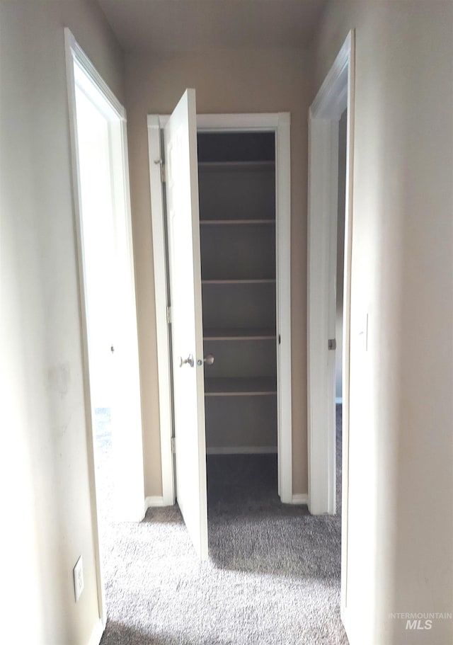 hallway featuring carpet floors
