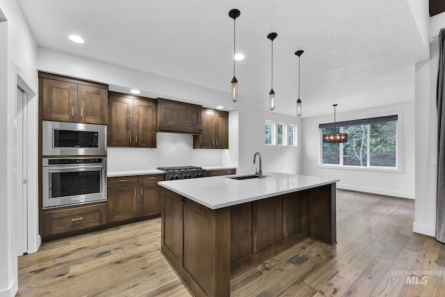 kitchen featuring stainless steel appliances, a sink, light countertops, light wood-type flooring, and dark brown cabinets