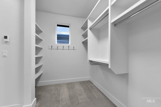 walk in closet with carpet