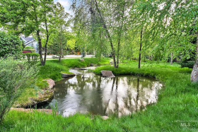 view of surrounding community