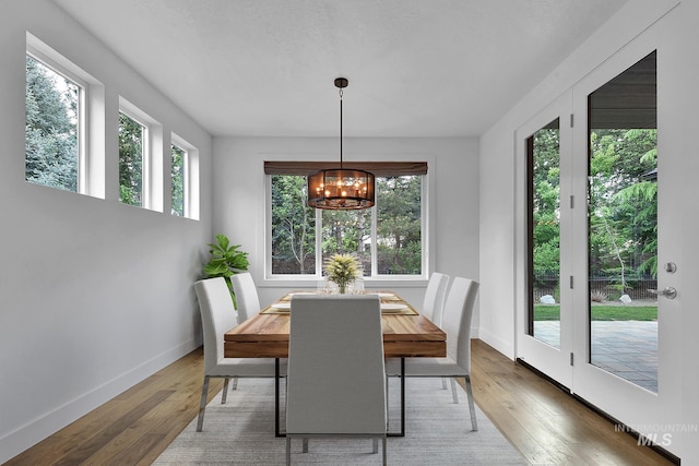 dining area with plenty of natural light, wood-type flooring, and a chandelier