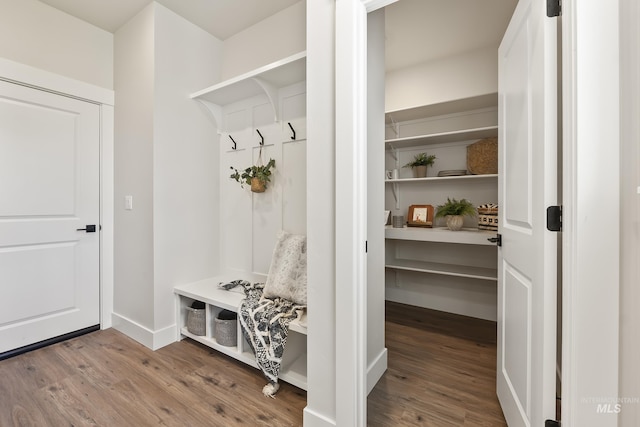 mudroom featuring wood finished floors