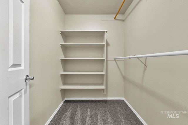 11793 Shelburne, Caldwell, ID 83605 - spacious closet with carpet floors