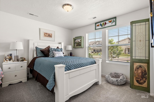 2701 N Ice Fire Pl, Star, ID 83669 - bedroom featuring carpet, a textured ceiling, and baseboards