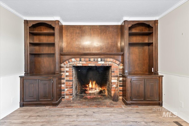 905 S Canyon St, Nampa, ID 83686 - detailed view of wainscoting, wood finished floors, crown molding, a fireplace, and a decorative wall