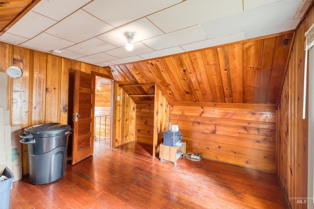 bonus room with wood walls and hardwood / wood-style floors