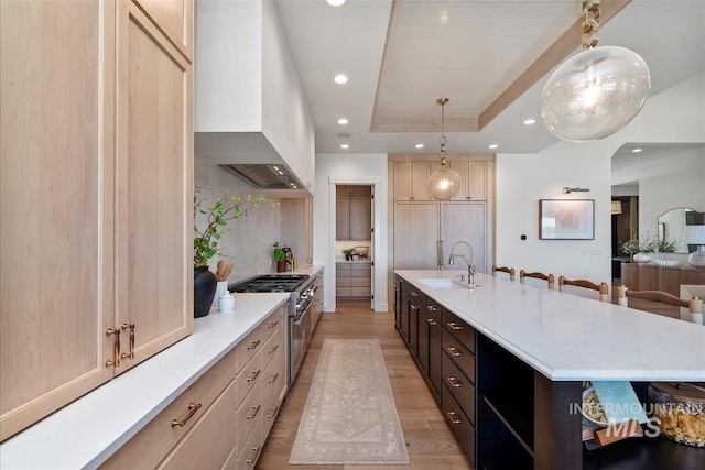 938 S Waning Ln, Eagle, ID 83616 - kitchen featuring a sink, stainless steel stove, wall chimney exhaust hood, light wood-type flooring, and light countertops