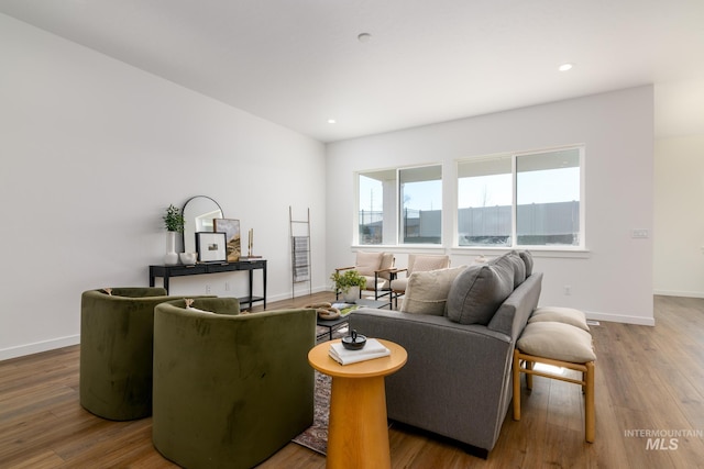 living room with hardwood / wood-style floors