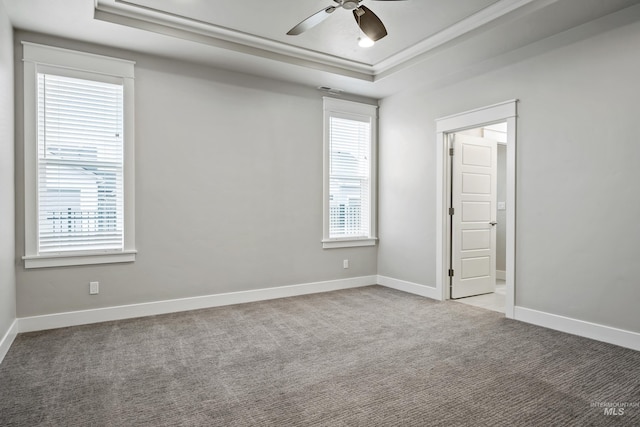 carpeted empty room with ceiling fan, ornamental molding, a wealth of natural light, and a tray ceiling