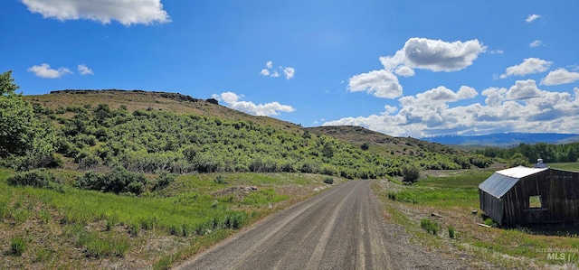 2168 Middle Fork Rd, Council, ID 83612 - view of mountain background