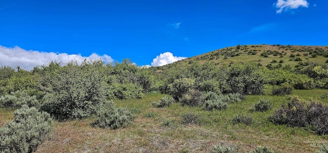 2168 Middle Fork Rd, Council, ID 83612 - view of mountain background