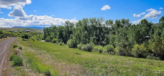 2168 Middle Fork Rd, Council, ID 83612 - mountain view