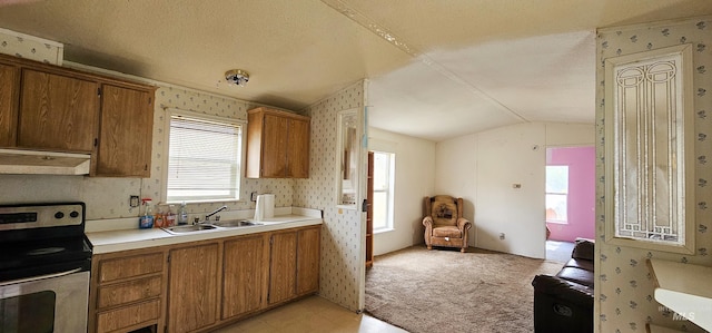 2168 Middle Fork Rd, Council, ID 83612 - kitchen featuring stainless steel range with electric stovetop, under cabinet range hood, brown cabinets, light countertops, and vaulted ceiling