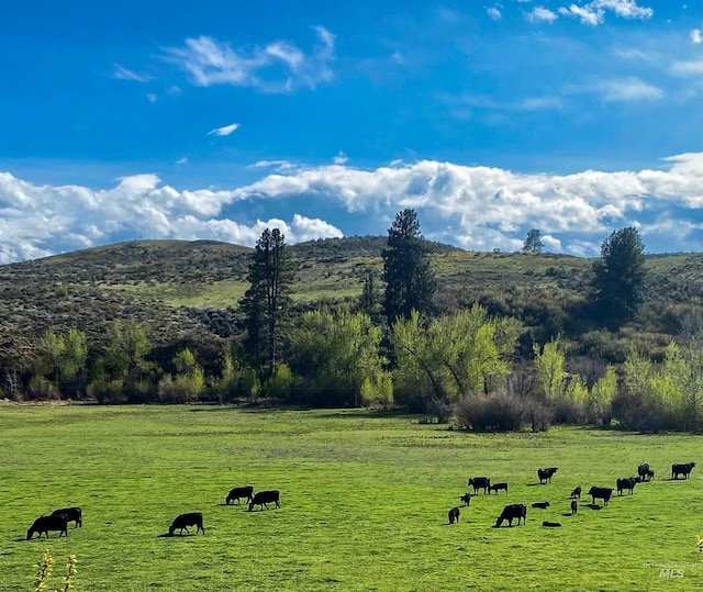 2168 Middle Fork Rd, Council, ID 83612 - mountain view featuring rural landscape and a pastoral area