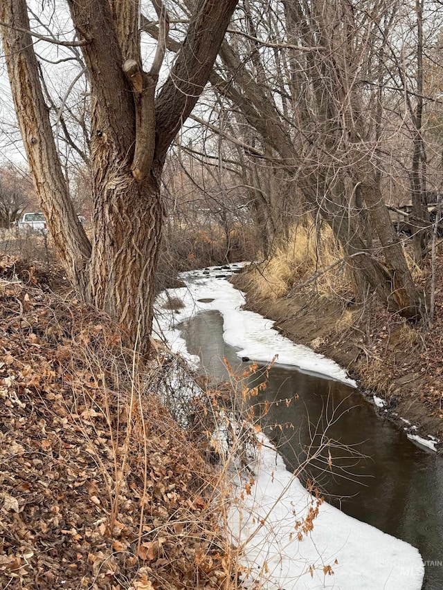 view of local wilderness