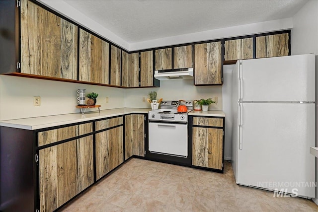 300 Morrison Unit 643, Twin Falls, ID 83301 - kitchen with white appliances, under cabinet range hood, and light countertops