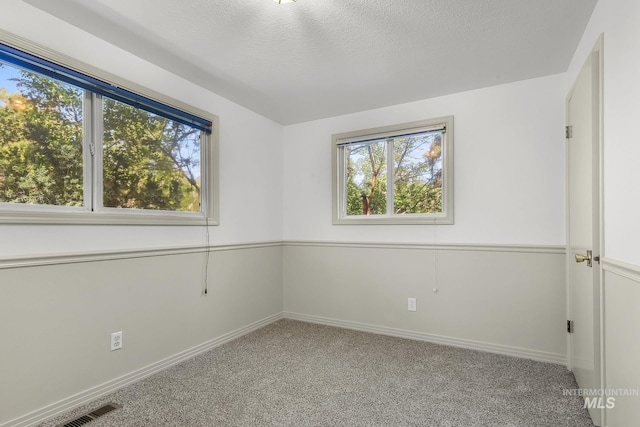 carpeted empty room with plenty of natural light, baseboards, and a textured ceiling
