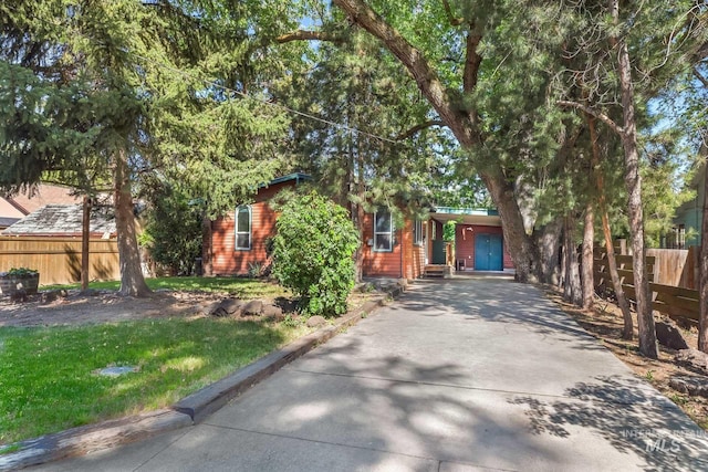 view of property hidden behind natural elements with driveway