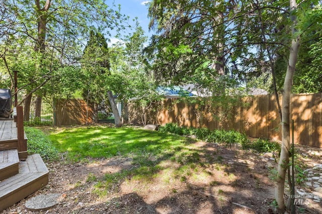 view of yard