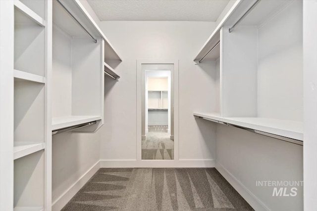 5085 S Taboo Pl, Boise, ID 83716 - spacious closet featuring dark carpet