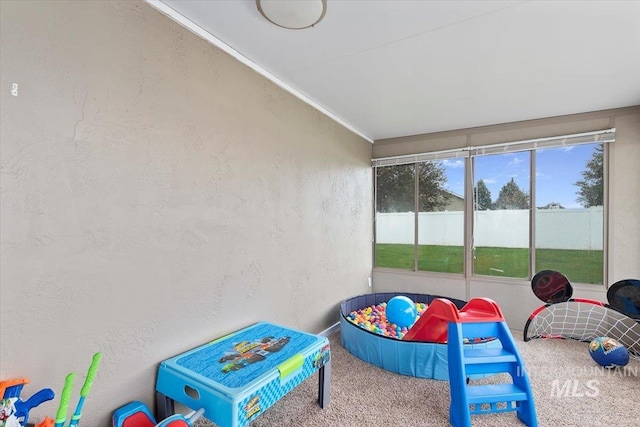 game room featuring carpet floors and a textured wall