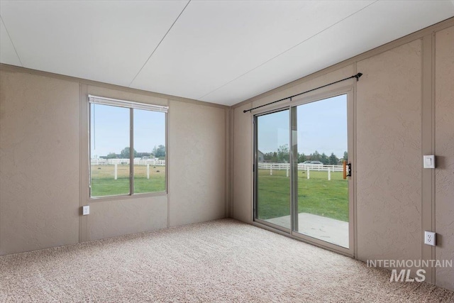 spare room featuring carpet floors, plenty of natural light, and a textured wall