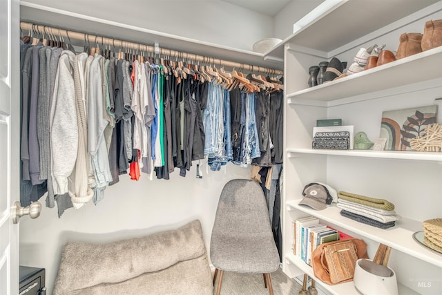 view of spacious closet