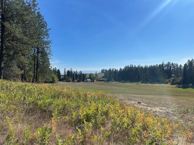 view of local wilderness with a rural view