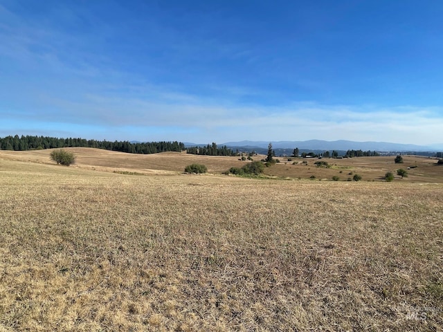 view of landscape with a rural view and a mountain view