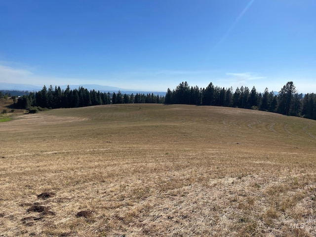 view of local wilderness with a rural view