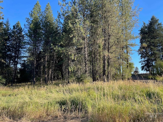 view of landscape