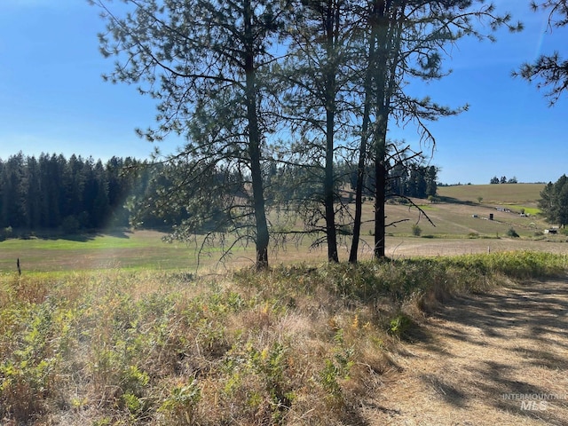 view of yard with a rural view