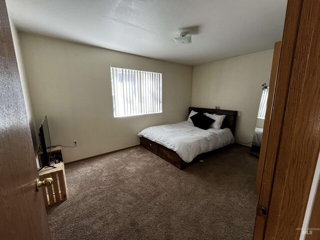 bedroom featuring carpet