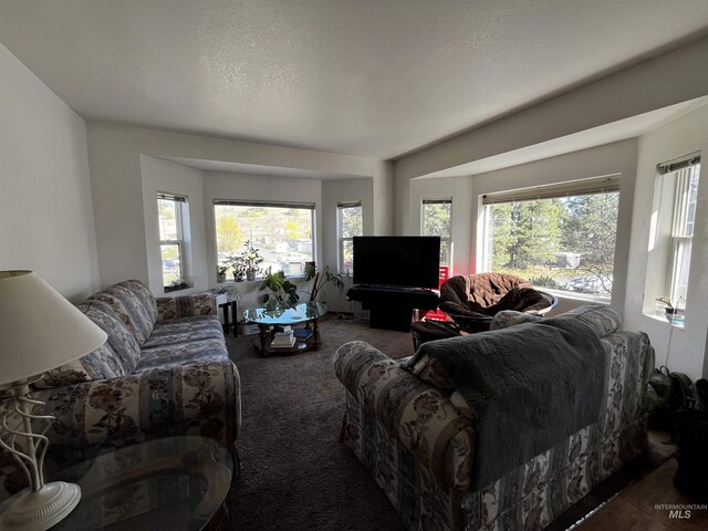 view of carpeted living area