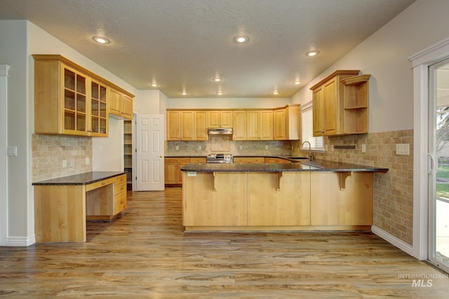 2853 N High Desert Way, Meridian, ID 83646 - kitchen with open shelves, under cabinet range hood, a peninsula, a sink, and dark stone countertops