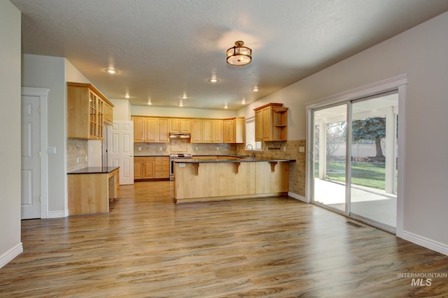 2853 N High Desert Way, Meridian, ID 83646 - kitchen featuring stainless steel range with electric cooktop, under cabinet range hood, a peninsula, light wood-style floors, and recessed lighting