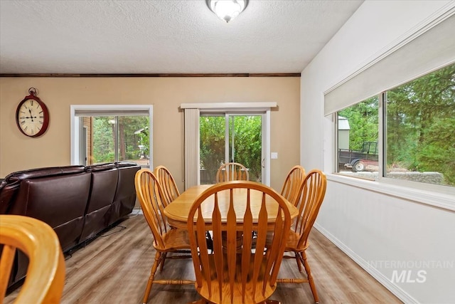 dining space featuring a textured ceiling and light hardwood / wood-style flooring