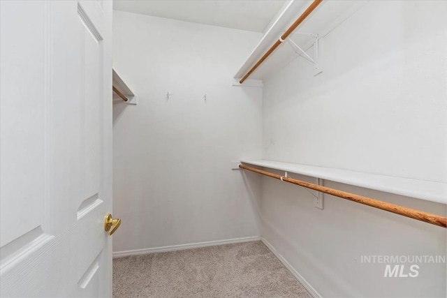 spacious closet with light carpet