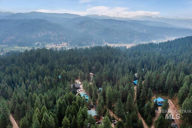 aerial view with a mountain view